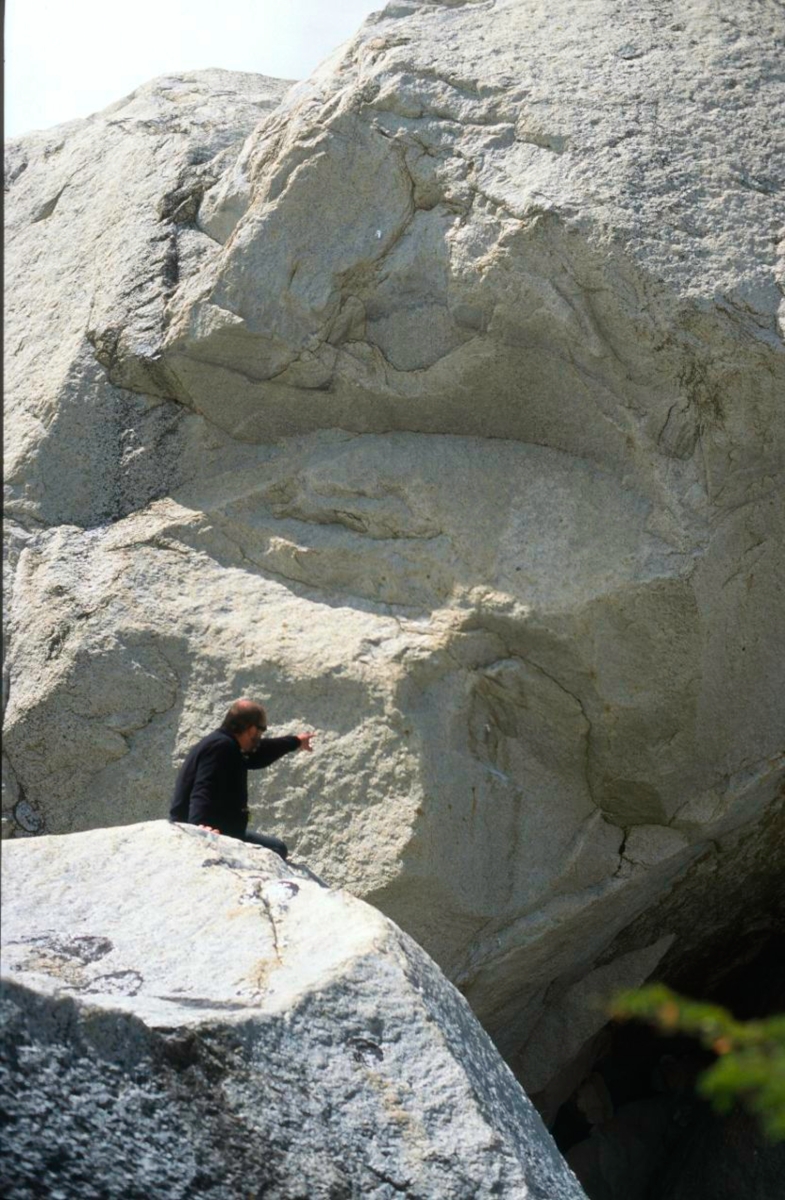 Patagonia 2000
