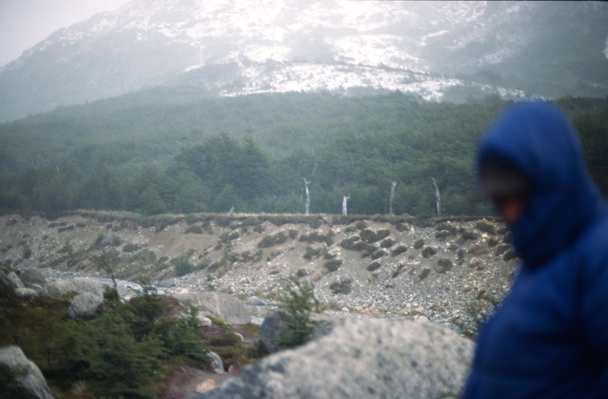 Patagonia 2000